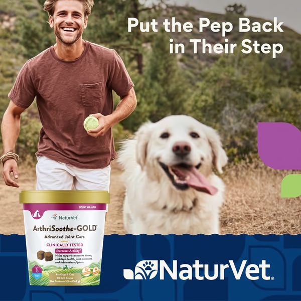 A 1:1 square ad featuring a man and his happy dog on a trail, showcasing the product packaging with a clear benefit-driven headline.